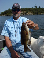 Another dandy smallie!